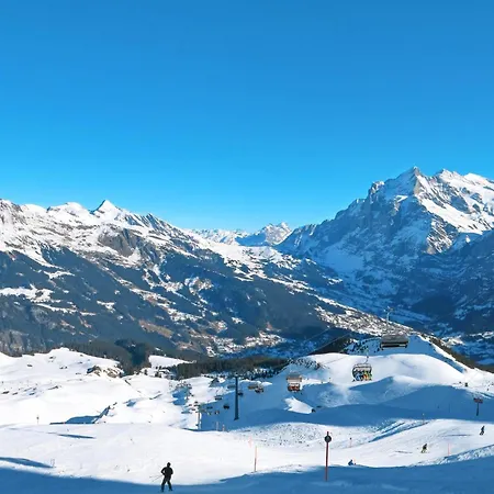 Sans Souci O2 By Interhome Apartmán Grindelwald